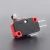 Import UL approval roller lever micro switch XV-155-1C25 from China