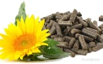 Granulated Sunflower meal