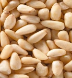 Organic Dried Pine Nuts, Exporter Best Quality,