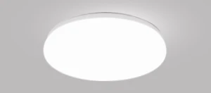 led ceiling/pendant lights bean