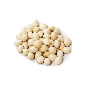 Natural Quality Best Price Raw Ginkgo Nuts Available In Bulk
