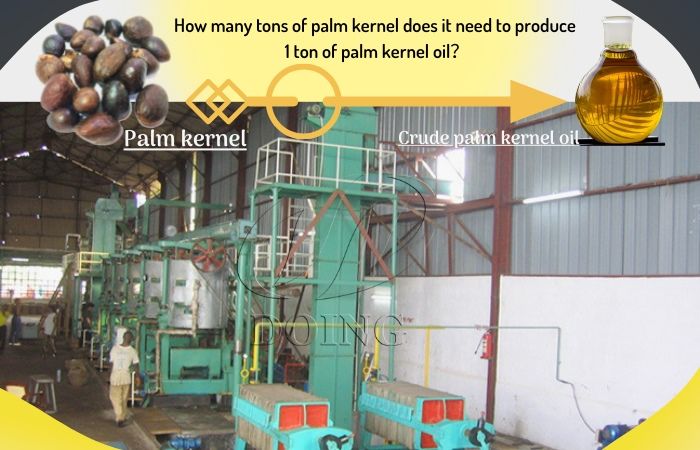 Buy Palm Kernel Oil Mill Plant For Processing Crude Palm Kernel Oil ...