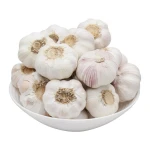 Fresh Garlic Available In Large Quantities Fresh Garlic With Natural Rich Flavor And Healthy Nutrients