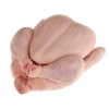 Delicious Fresh Frozen Whole Chicken