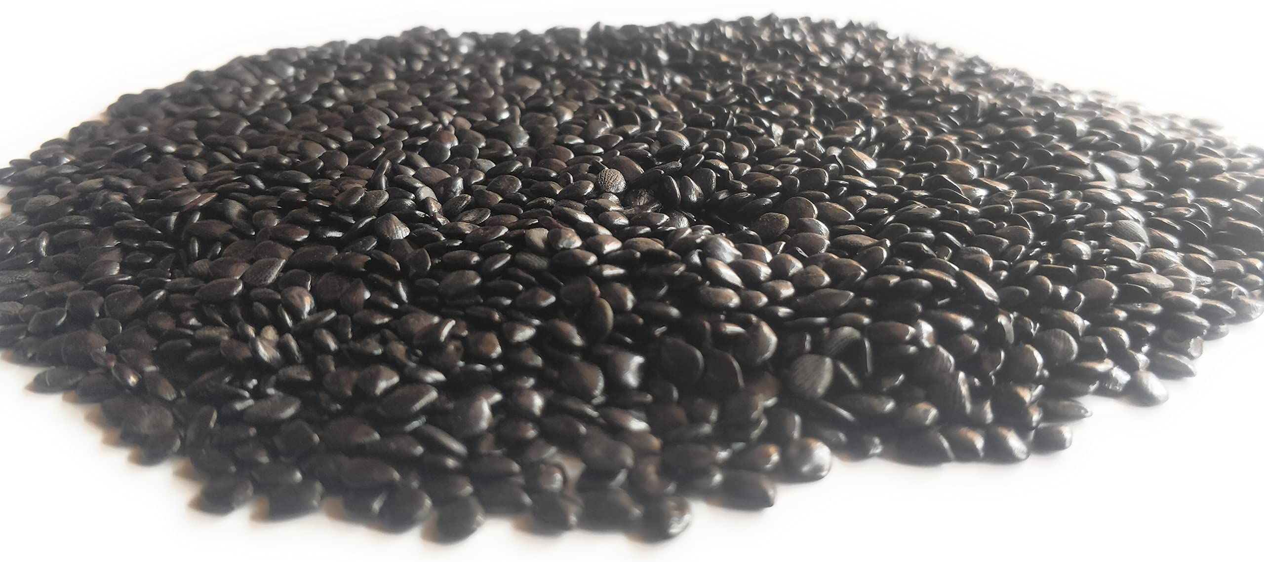 Buy 100% Natural Chaksu Seeds Cassia Absus For Sale from Bright Future ...