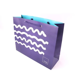 c2s art paper double side printed paper bag