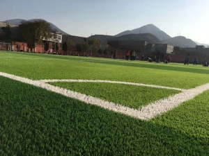 Lvyin Manufacturer Directly Customization Non Infill Synthetic Artificial Lawn for Futsal Soccer Sports