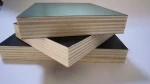 Birch Film Faced Plywood, 18 mm