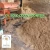 Import Cocopeat HIGH EC from Indonesia