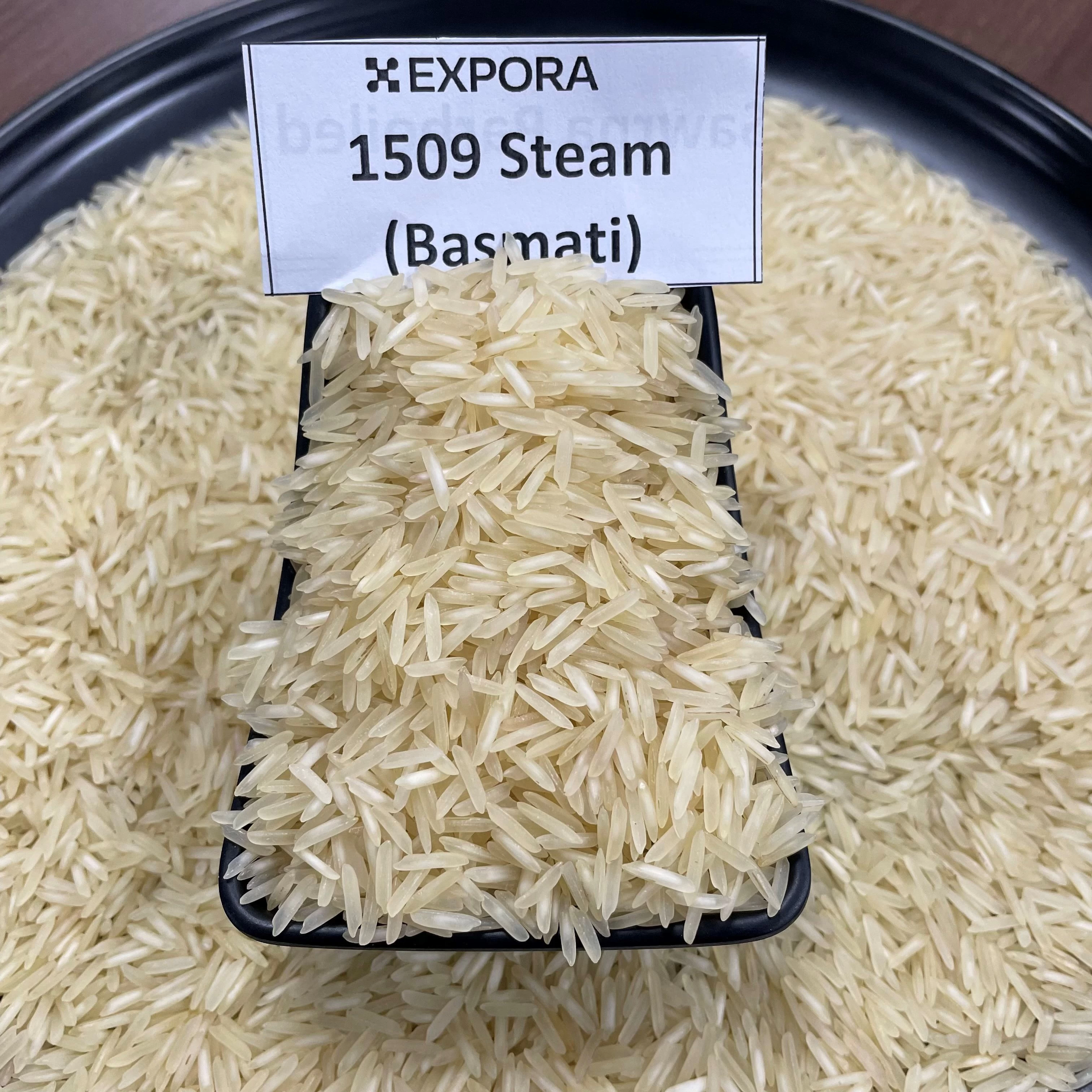 Buy 1509 Steam Rice from Expora - Aspirarch Market Platforms Pvt. Ltd ...