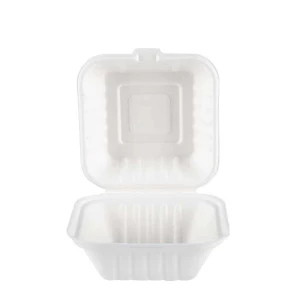 Buy 100% Biodegradable Sugarcane Pulp Lunch Disposable Box Bagasse Food ...