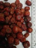 Wholesale: jujube, Pistachio, dried fruits