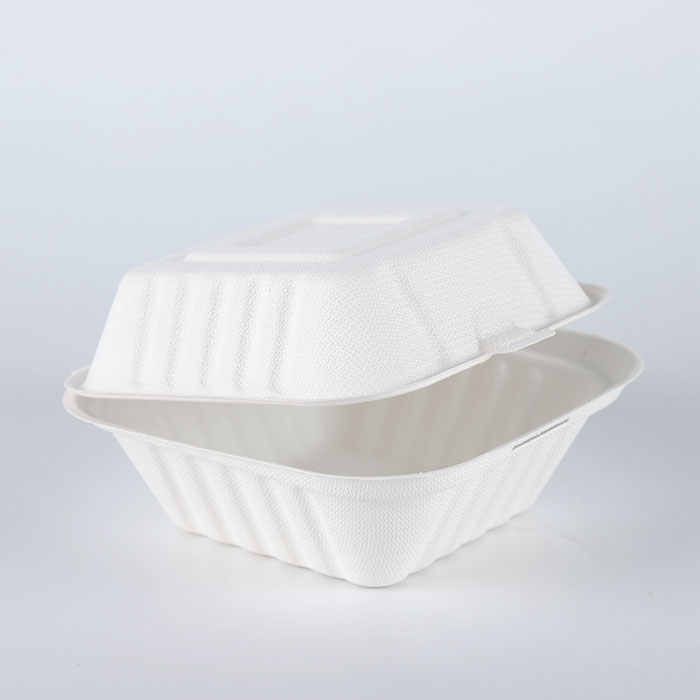 Buy 100% Biodegradable Sugarcane Pulp Lunch Disposable Box Bagasse Food ...