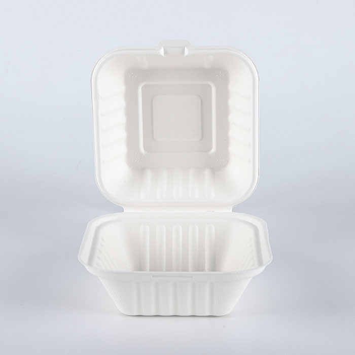 Buy 100% Biodegradable Sugarcane Pulp Lunch Disposable Box Bagasse Food ...