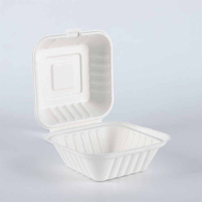 Buy 100% Biodegradable Sugarcane Pulp Lunch Disposable Box Bagasse Food ...