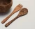 Import Bamboo Cutlery from India