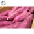Import 100% Eco Friendly Wholesale Natural Rick Nutrition Purple Yellow Sweet Potatos from Vietnam