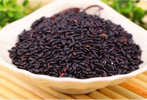 100% Natural Black rice extract powder 10:1/25% anthocyanin/Purple Rice