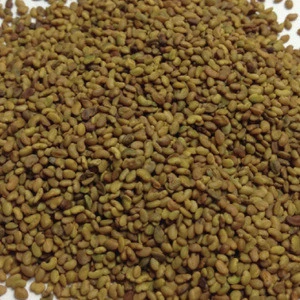 100% Pure/ alfalfa seeds/forage grass seeds