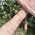 12 Colors makeup mineral eyeshadow powder matte High Pigment eye shadow palette