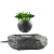 Import 2018 new design magnetic floating air plants bonsai in the air from HCNT from China