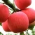 Import 2019 new fresh fruits red Fuji apples from China