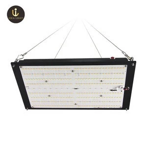 2020 LED Board LM301b lm301h Grow Light Full Spectrum LED Grow Light For Hydroponic Grow Tent