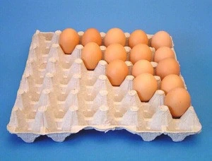30 eggs paper egg tray