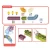 Import 34 PCS Baby Bath Play Game DIY Assembly Track Rolling Ball Wall Sucking Slideway Toys from China