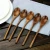 Import 5 Pieces Japanese Natural Plant Spoon Set from China