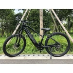500w wholesale high quality powerful  electric Scooter  soft smooth ride ride durable bike ebike