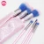 Import 6pcs  Factory Rainbow Pink Makeup Brush Set Makeup Tool Kit With Cosmetic Pouch from China