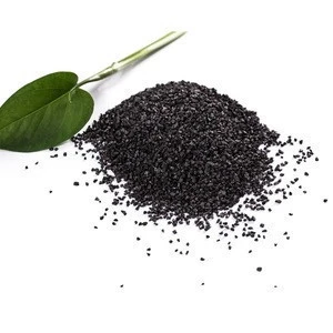 8*30 mesh coal based granular activated carbon for Chemical Auxiliary Agent