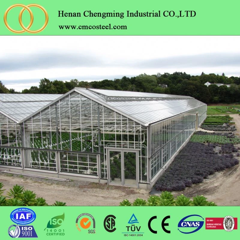 agricultural greenhouses soilless growing media rock wool for tomato