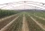 Import agricultural irrigation tape farm irrigation systems drip irrigation system from China