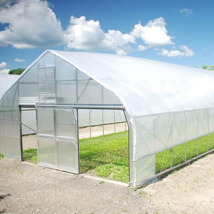 Agricultural Plastic Film Greenhouses Prices from China