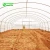 Import Agriculture Hoop Film Multi-span Greenhouse Covered by Plastic Single-span Agricultural Greenhouses Single Small PE from China