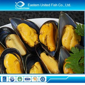  gold supplier IQF live shellfish