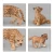 Import Amazon Hot Selling Animal Toys Model Figure Leopard Toy from China