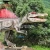 Import Amusement Park Dino Model  Animatronic Dinosaur Customized from China