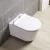 Import ANBI Modern Rimless Bathroom Ceramic Sanitary Ware Toilet Wall Hung Mounted Wc  Toilet from China