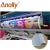 Import Anolly Car Body Sticker Printing Self Adhesive Vinyl from China