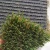 Import Artificial grass home garden green synthetic grass from China