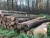 Import ash logs / FSC / PEFC / swiss quality from Switzerland