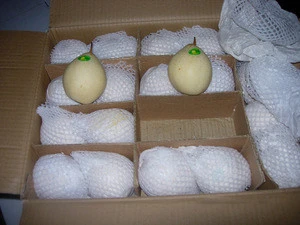 Asian juicy fresh ya pear directly from chinese supplier