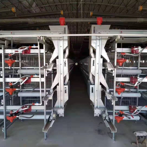 Buy Automatic Layer Poultry Farming Equipment Chicken Cage from ...