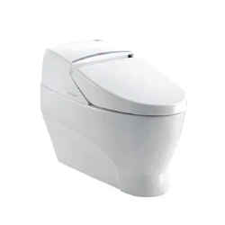 Automatic sensor flushing remote control electric one piece bidet toilet tankless floor mounted intelligent smart toilet