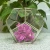 Import Beautiful and elegant, this bouquet of silk roses vase  blank glass ornaments hanging glass bauble terrarium from China