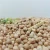 Import best quality chickpea/chick pea market price HPS from China