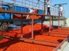 Best Quality Crushed Tomatoes 20 - 30% Cans Tomato Paste